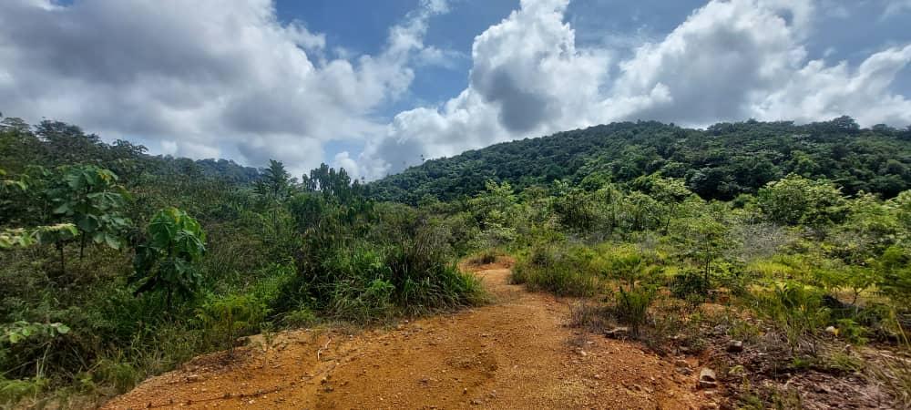 Gold mine site - Page 1