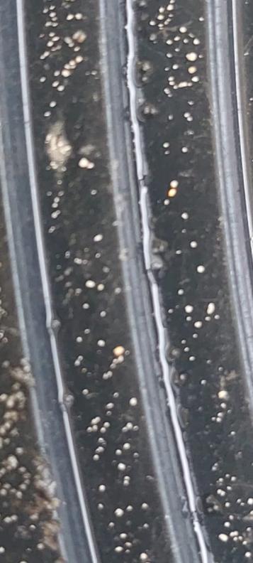 Sampling southern zone 4