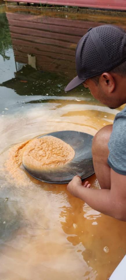 Sampling northern zone 2