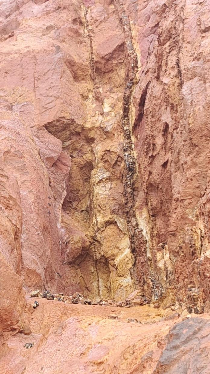 Figure 10: Shear zone with quartz veins